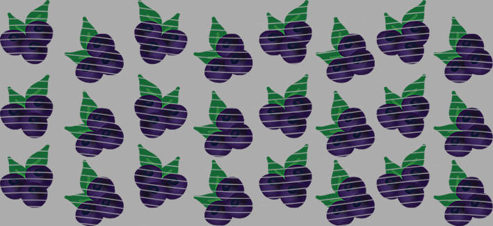 16oz delicacy-DE-376